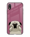 Shop Funny Pug Face Printed Premium Glass Cover For iPhone XR (Impact Resistant, Matte Finish)-Front