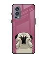 Shop Funny Pug Face Printed Premium Glass Cover For OnePlus Nord 2 5G (Impact Resistant, Matte Finish)-Front