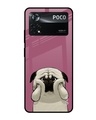 Shop Funny Pug Face Printed Premium Glass Cover for Poco X4 Pro 5G (Shock Proof, Scratch Resistant)-Front