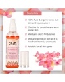 Shop Pack of 2 Rejuvenating Rose Water With Goodness Of Aloe Vera extract 100ml