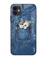 Shop Kitty In Pocket Printed Premium Glass Cover For iPhone 12 (Impact Resistant, Matte Finish)-Front