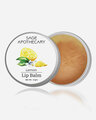 Shop Lemon Lip Balm