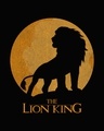 Shop Lion King Sun Full Sleeve T-Shirt (DL)-Full