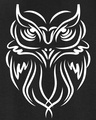 Shop Men's Black Owl Graphic Printed Sweatshirt-Full