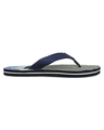 Shop Men's Blue Striped Flip Flops-Design