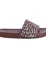 Shop Men's Brown Bats Printed Sliders-Design