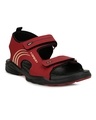 Shop Men's Red Printed Sandals-Front