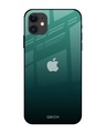 Shop Palm Green Premium Glass Cover For iPhone 12 (Impact Resistant, Matte Finish)-Front
