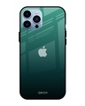 Shop Palm Green Premium Glass Cover For iPhone 13 Pro Max (Impact Resistant, Matte Finish)-Front