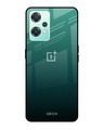 Shop Palm Green Premium Glass Cover For OnePlus Nord CE 2 Lite 5G (Impact Resistant, Matte Finish)-Front
