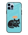 Shop Pawsitive Premium Glass Cover for Apple iPhone 13 Pro-Front