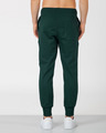 Shop Pine Green Fleece Joggers-Design