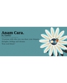 Shop Romantic Anam Cara Ceramic Mug,  (320ml, Sky Blue , Single Piece)-Full