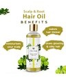 Shop Scalp & Root Hair Oil (Amla & Camphor)-Design