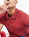 Shop Cherry Knitted Polo T Shirt