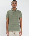 Shop Fern Green Stripe Knitted Polo T Shirt