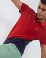 Shop Ssangria Dual Color Knitted Polo T Shirt-Full