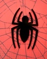 Shop Spider Doodle iPhone 11 Pro 3D Mobile Cover-Design