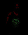 Shop Star Wars Glow Vest (SWL)