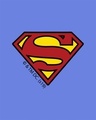 Shop Superman Badge Boyfriend T-Shirt (SL)