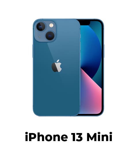 13 mini