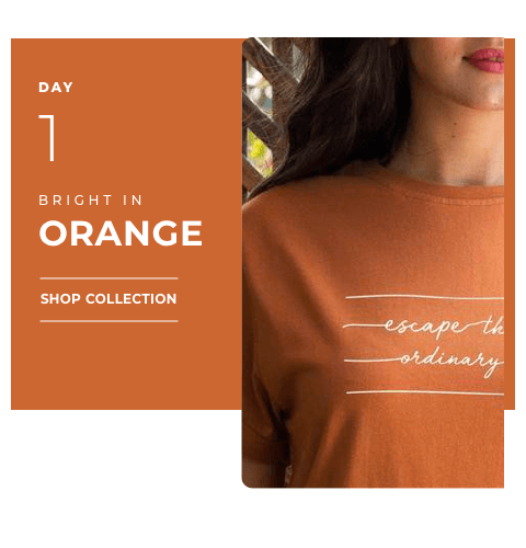 Day 1 - Orange Color | Navratri 2019