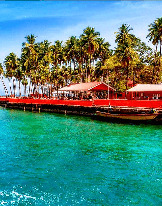 Andaman & Nicobar Islands | best place to visit in winter in india - Bewakoof Blog