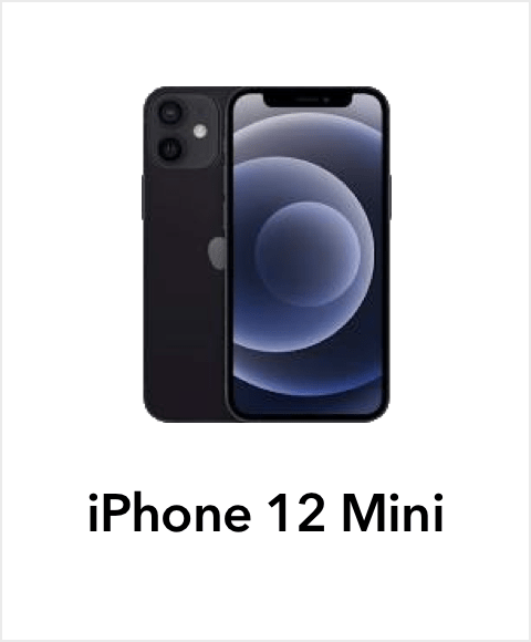 12 Mini