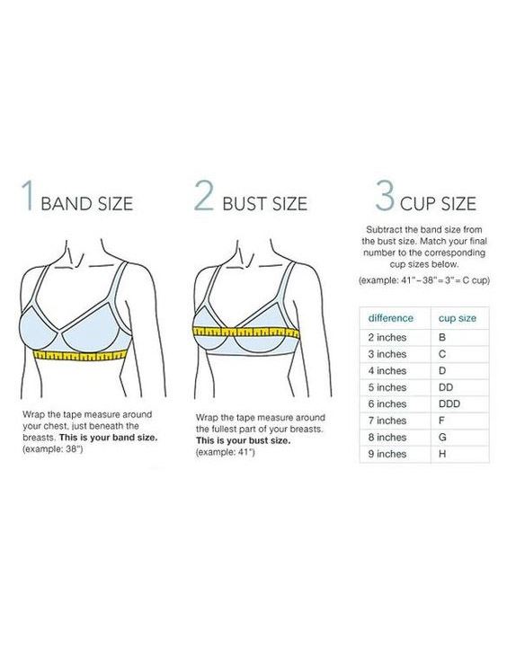 Bra Size Guide - Types of lingerie | Bewakoof Blog