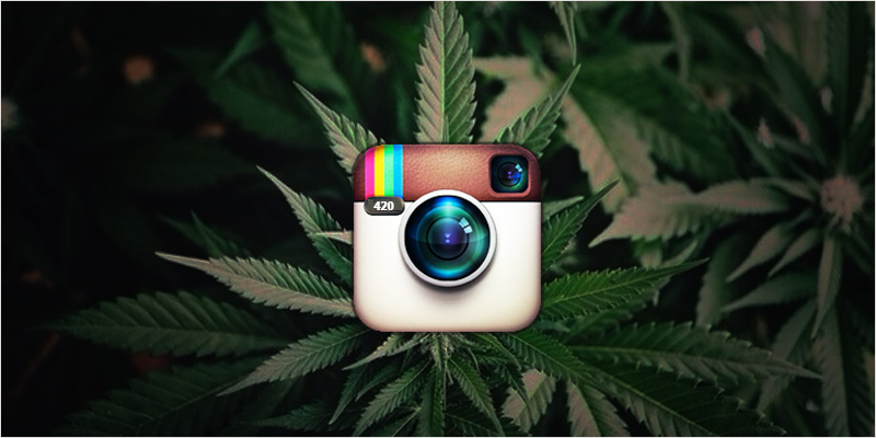 banner type search and follow 9 weed instagram accounts to follow 1472127184 - follow search instagram