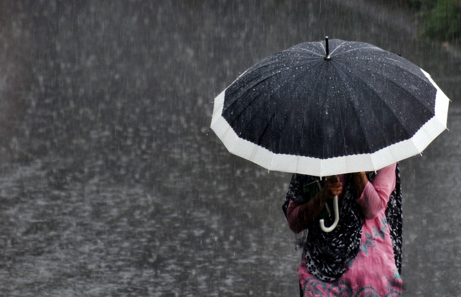 burberry nubuck ostrich handle umbrella