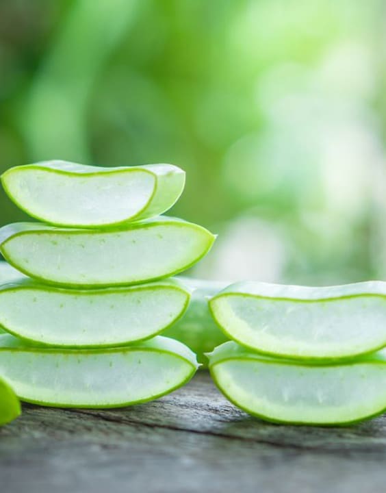 Aloe vera - Skin Care Routine For Oily Skin - Bewakoof Blog