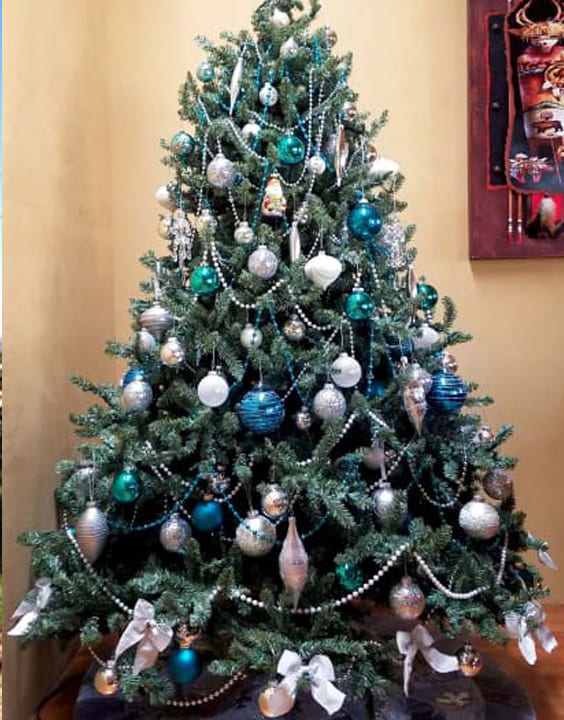 Blue Spruce-Types of Christmas Trees-Bewakoof Blog 