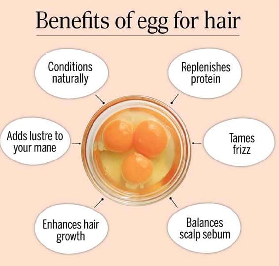 Egg Masks for strength and conditioning - tips for hair growth - Bewakoof blog