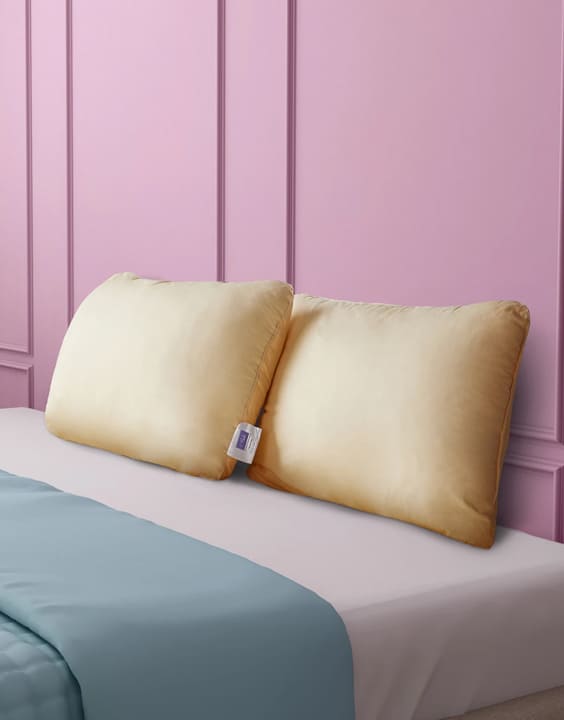 Hush - Best Pillow Brands in India | Bewakoof Blog