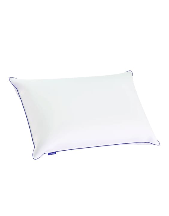 Sunday - Best Pillow Brands in India | Bewakoof Blog